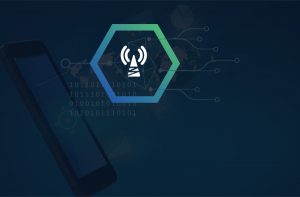 mnp lookup API